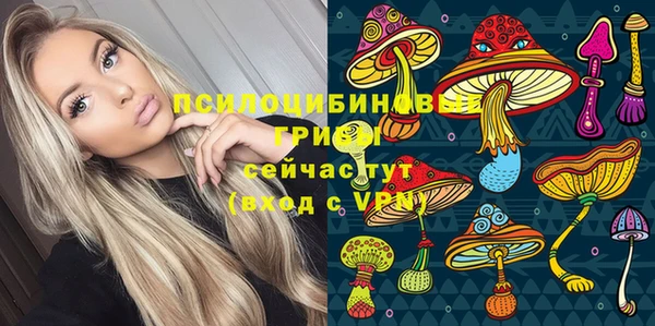 прущие грибы Белокуриха