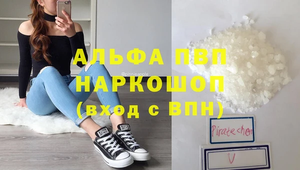 прущие грибы Белокуриха