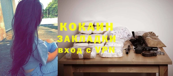 прущие грибы Белокуриха