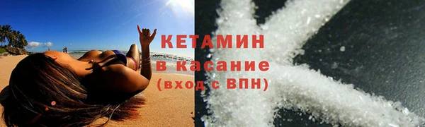 шишки Беломорск