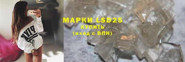 прущие грибы Белокуриха