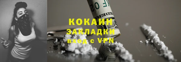 прущие грибы Белокуриха
