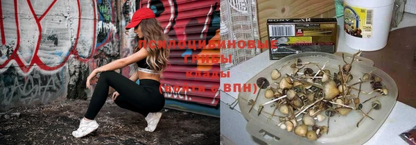 ECSTASY Пролетарск