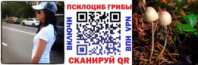 Псилоцибиновые грибы GOLDEN TEACHER  Красноярск 